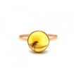 Baltic amber gold ring with insect